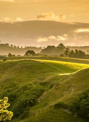 sunset landscape New Zealand north island