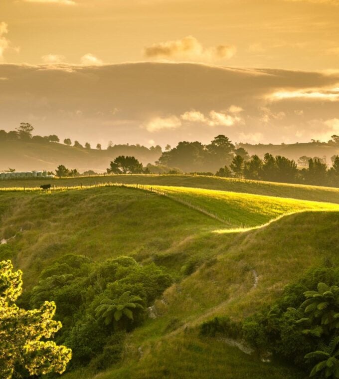 sunset landscape New Zealand north island