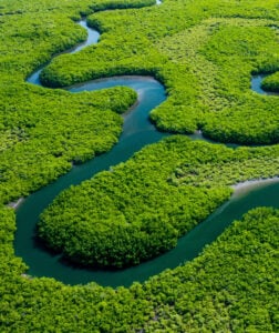 Ariel view of a winding blue river bending through lush bright green forests