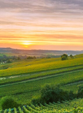 scenic-landscape-champagne-france