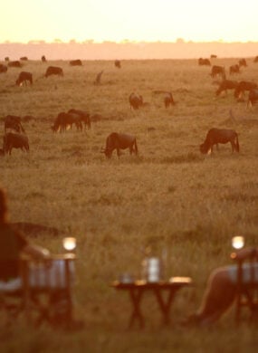 sundowners-africa-elephants