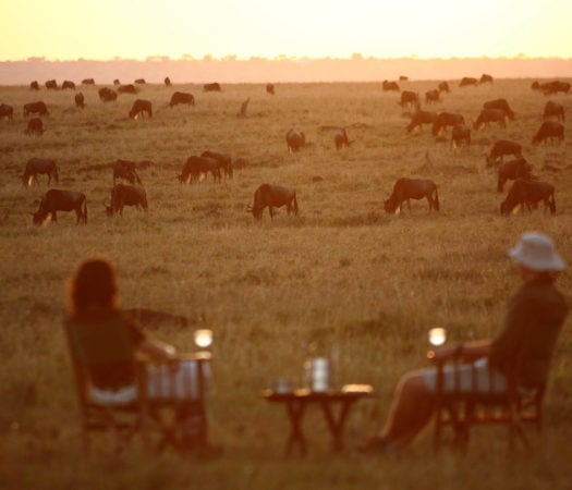 sundowners-africa-elephants