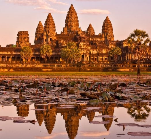 Angkor Wat reflecting in the lily pad strewn lake at sunrise, Siem Reap, Cambodia