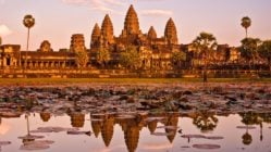 Angkor Wat reflecting in the lily pad strewn lake at sunrise, Siem Reap, Cambodia