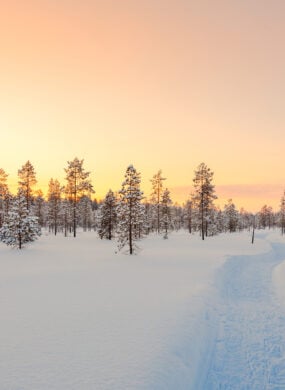 finnish-lapland-winter