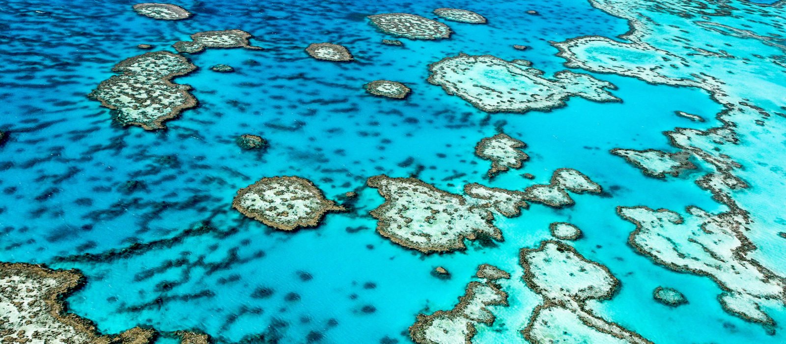 great-barrier-reef-australia