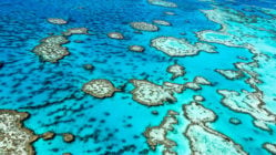 great-barrier-reef-australia