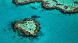 heart-reef-great-barrier-reef-whitsundays-australia