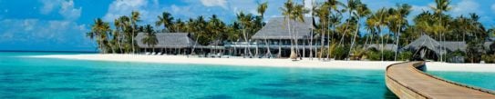 An idyllic white sandy beach with palm trees and a wooden walkway