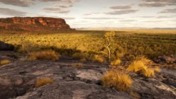 kakdu-national-park-darwin