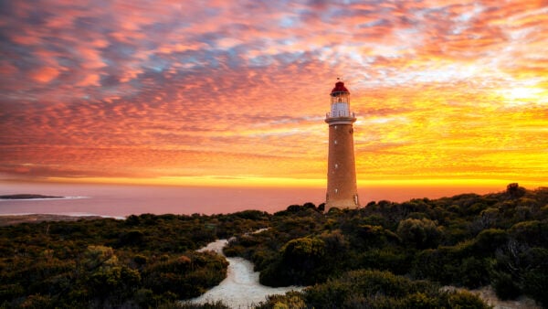 kangaroo-island-south-australia