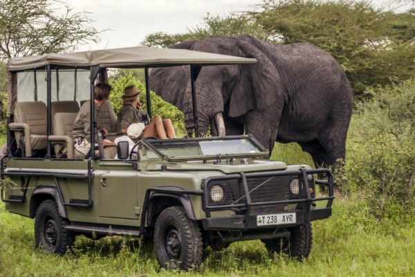 Two people in a safari truck looking at a wild, male African elephant in the Tanzanian bush