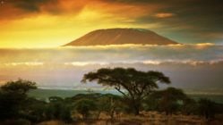 Amboseli National Park, Tanzania, at sunset with Mount Kilimanjaro peaking through the clouds