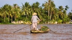 A local in traditional Vietnamese dress rowing their boat, laded with produce, down the Mekong River, Vietnam