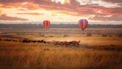 Sunrise in Maasai Mara on Kenya Safari