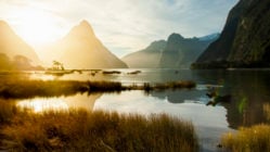 milford-sound-sunlight