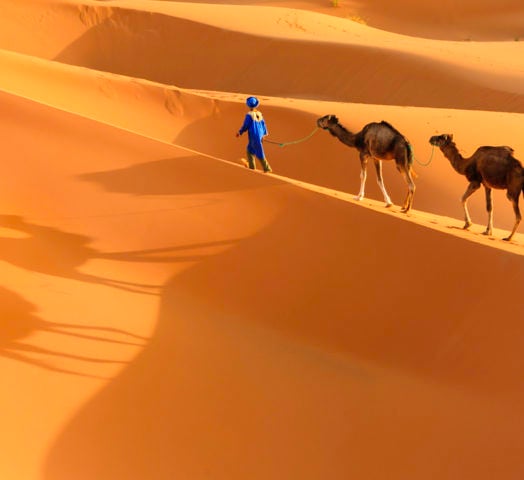 tuareg-camels-morocco