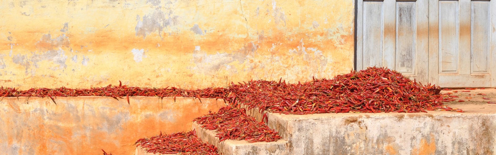 myanar-chillies-drying