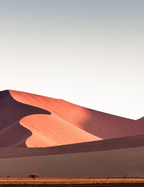 Namib Desert, orange and gold sand dunes at sunset, Sossusvlei, Namibia, Africa