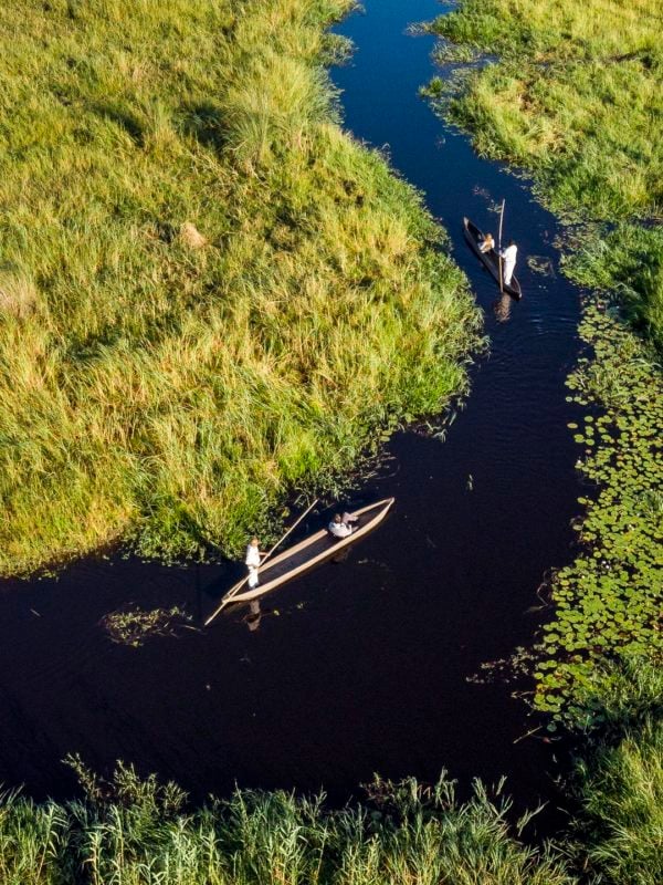 the waterways of the Okavango delta