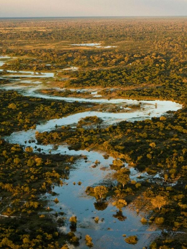 Aerial view of Selinda Adventure Trail, a winding river flowing through tree covered landscape in Botswana, Africa.