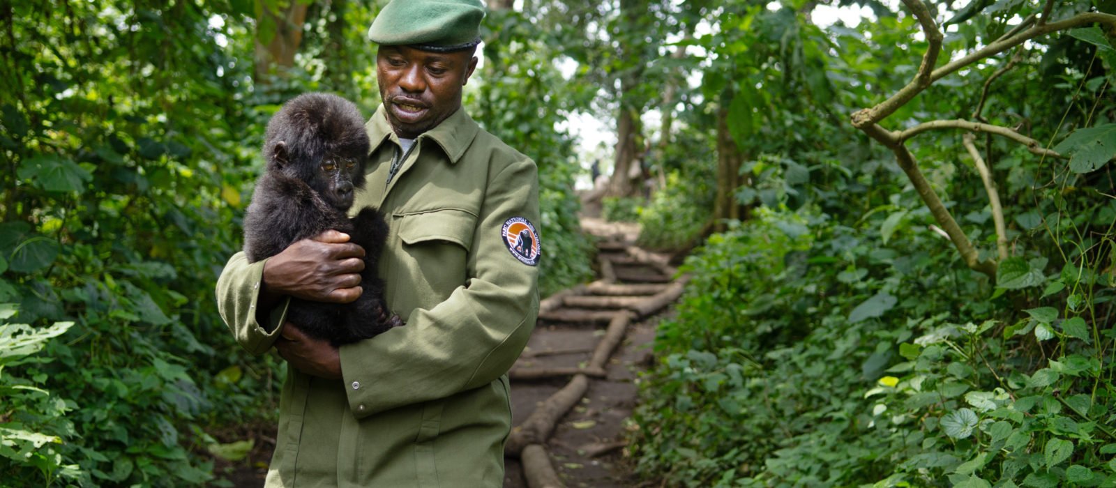 senkwekwe-gorilla-sanctuary