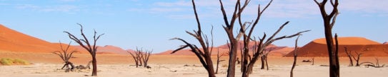 Dryness in Namibia - Sossusvlei