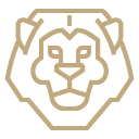 A front facing vector art of a lion face drawn in bold gold lines