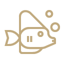 Vector art of a fish drawn in bold, gold line art