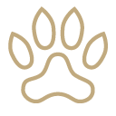 Gold pawprint icon